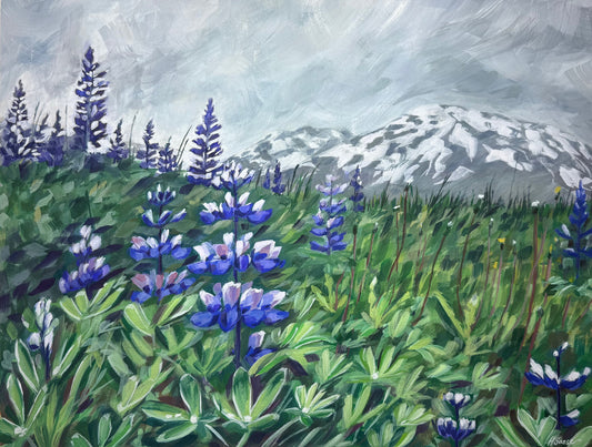 A Walk in Alaska